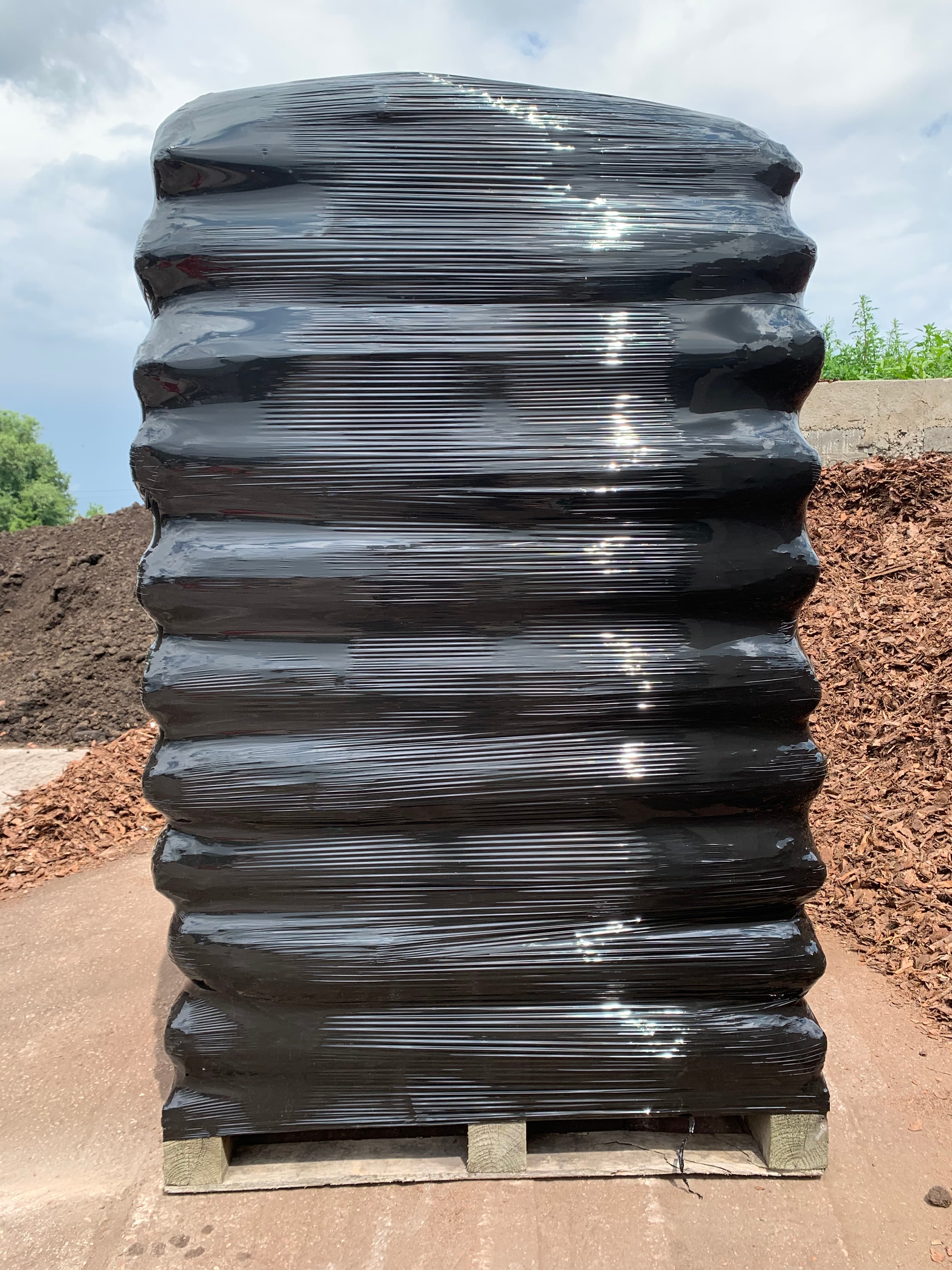 Kora Sosnowa 80l Średnia II 36szt